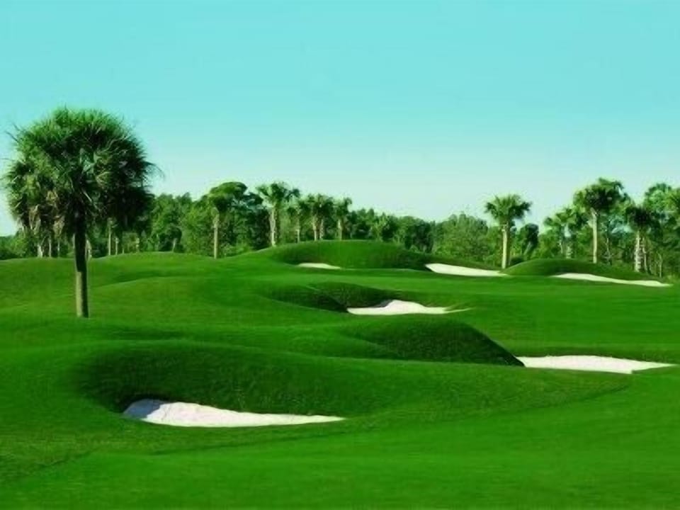 Sarasota National Golf Course , (just a few minutes away)