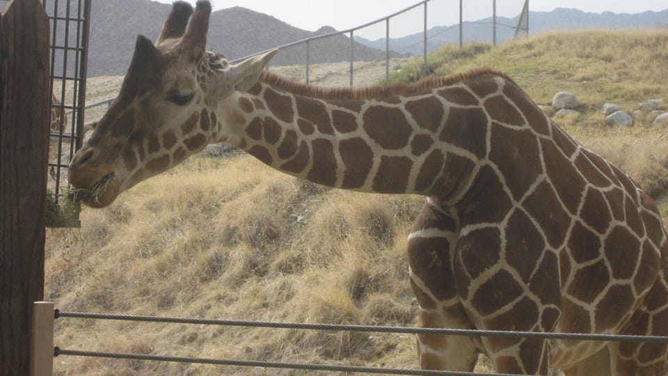 Near Living Desert Zoo and interpretive centre