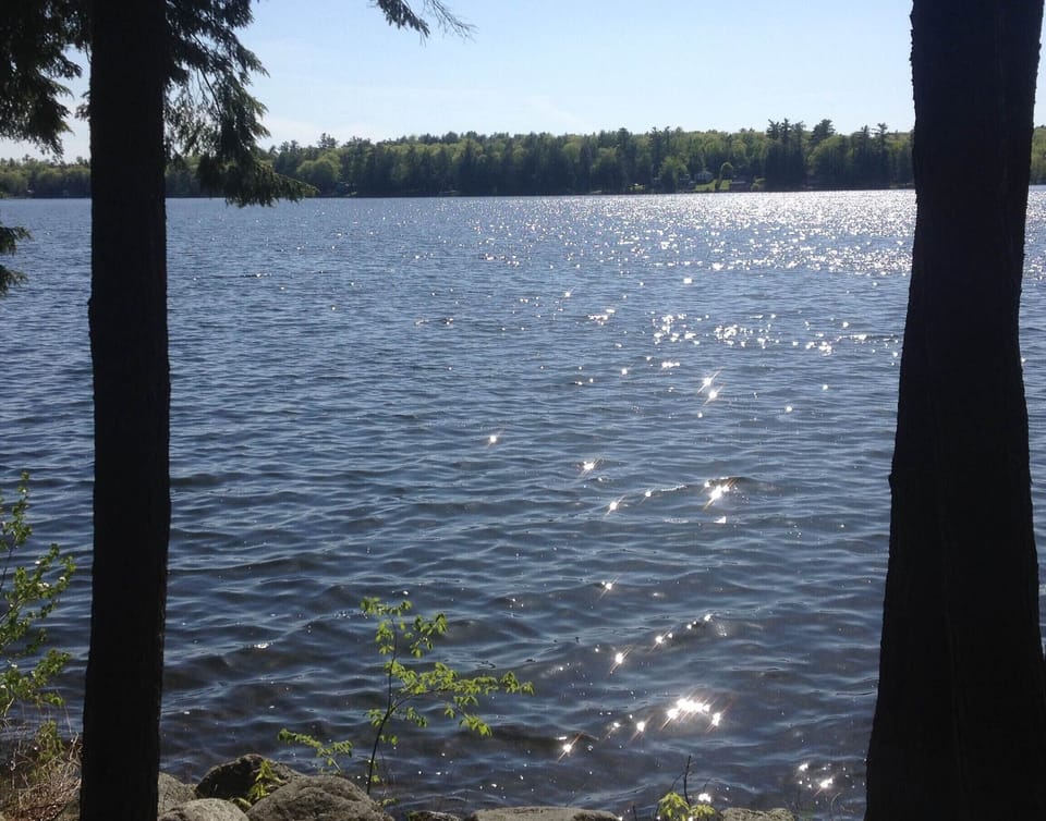 Southwest view from cottage