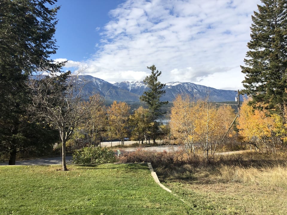 one view of the property's backyard