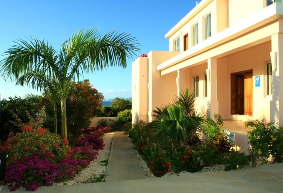 Gardens in Front of VIlla