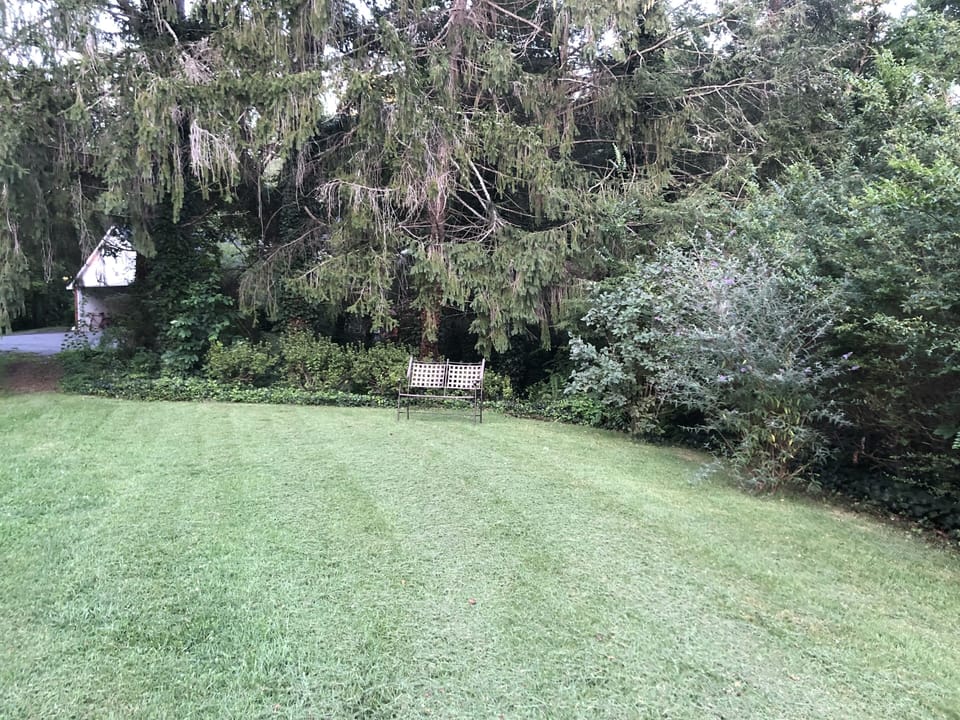 Front yard