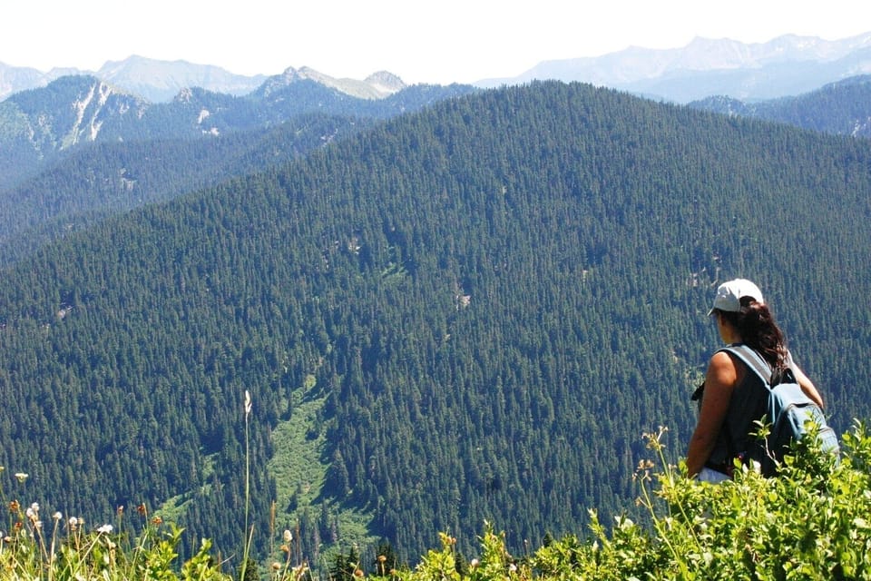 Beautiful meadow hikes in the Cascade Mountains-this is Johnson Ridge