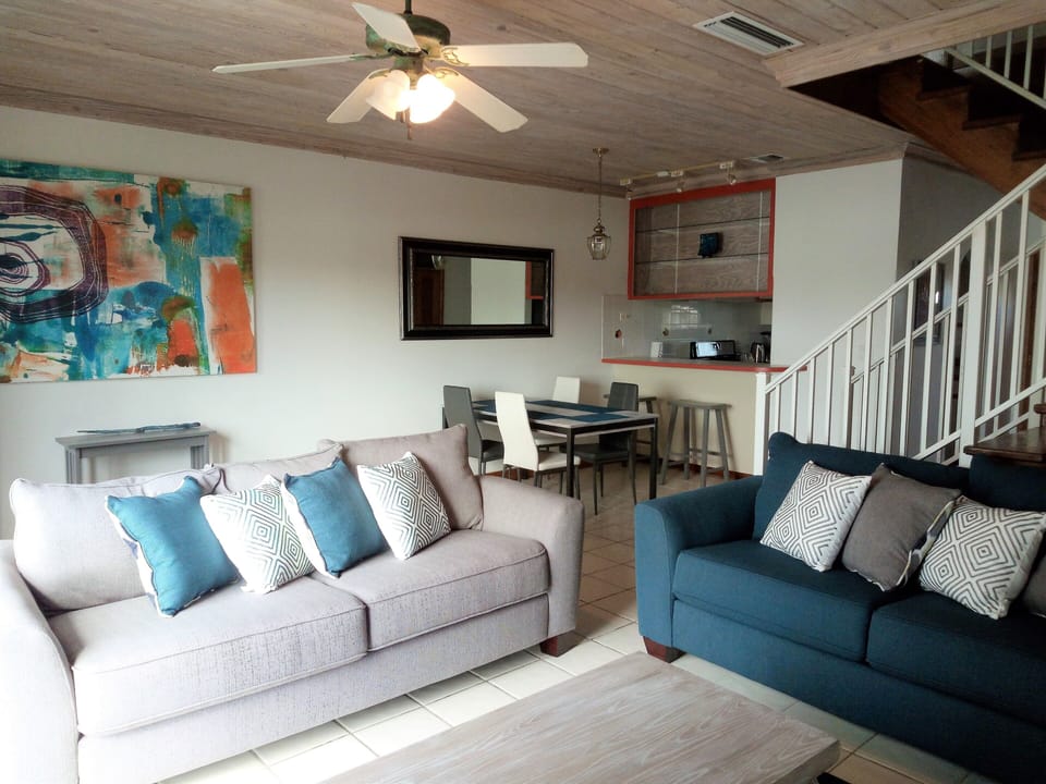 Front room  & dining areas