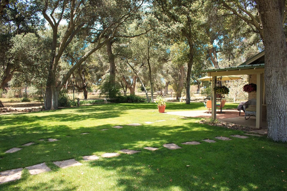 hundreds of ancient oaks provide an incredible setting