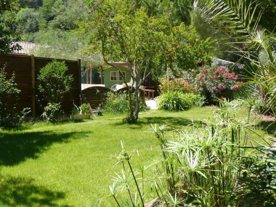 Garden, Park