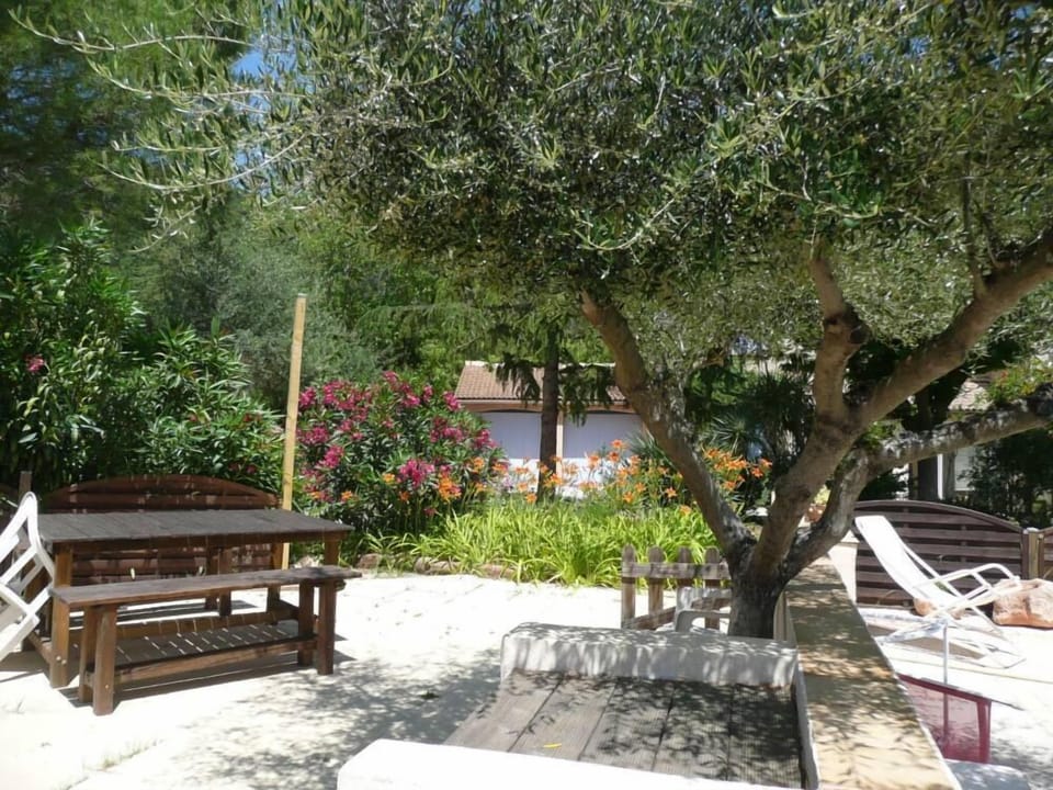 Garden, Park