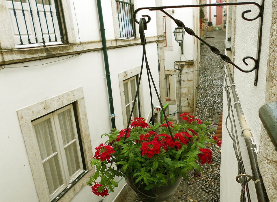 View from the bedroom window