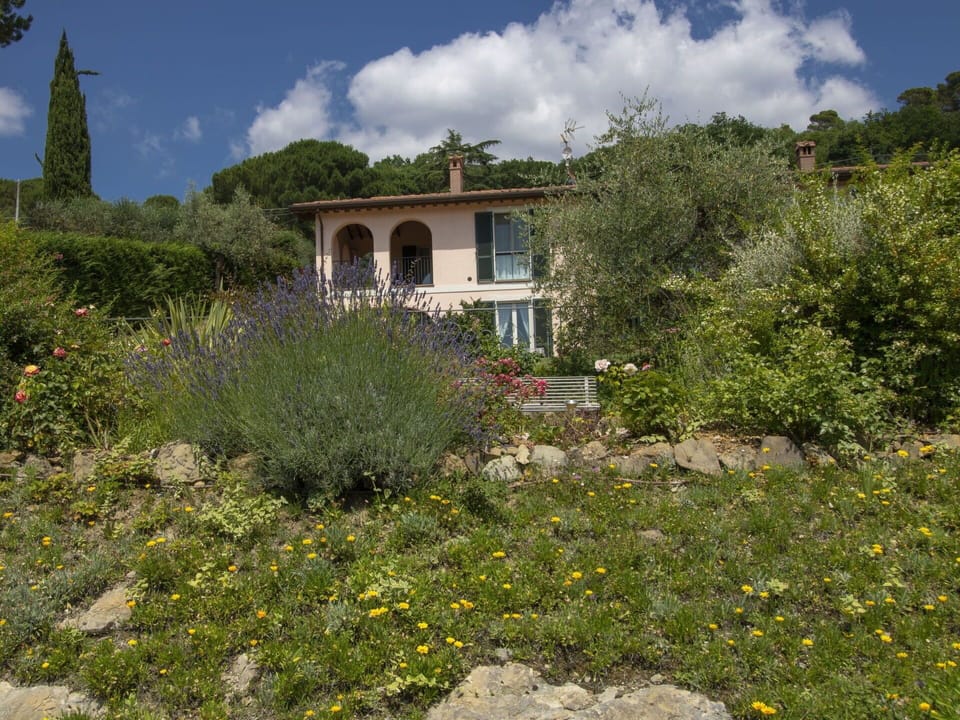 Vegetation, Property, House, Natural Landscape, Botany, Plant Community, Real Estate, Garden, Tree, Rural Area