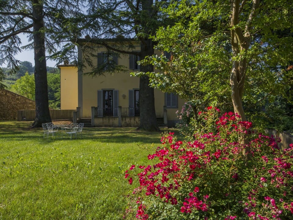 Vegetation, Tree, House, Property, Flower, Grass, Spring, Garden, Home, Plant