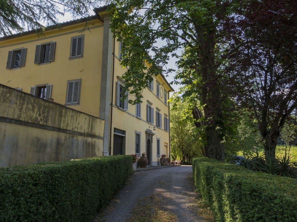 Property, Tree, Green, House, Architecture, Building, Estate, Wall, Grass, Home