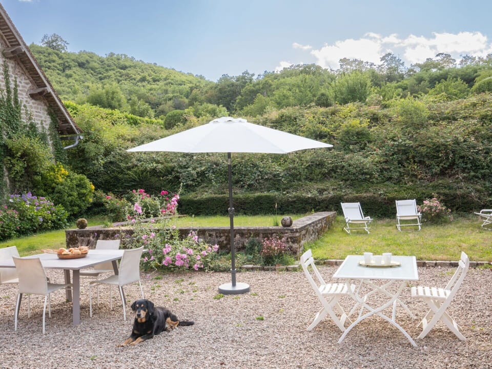 Plant, Cloud, Table, Furniture, Property, Sky, Nature, Chair, Botany, Outdoor Furniture