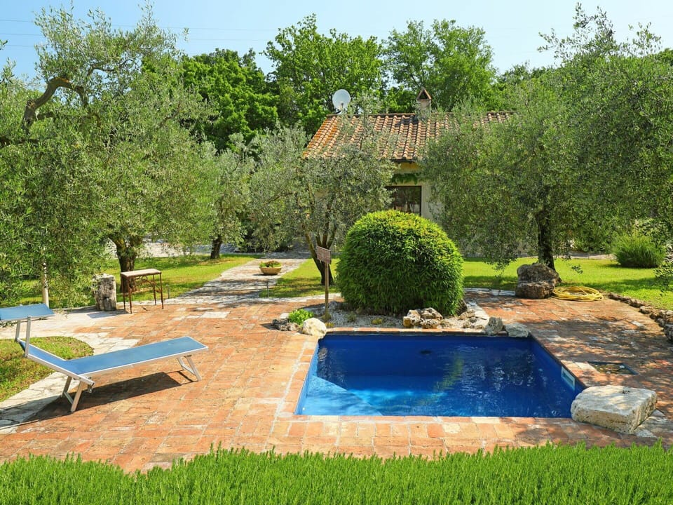 Plant, Water, Property, Sky, Tree, Natural Landscape, Land Lot, Grass, Landscape, Outdoor Bench