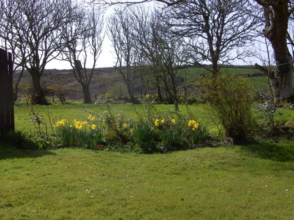 View of garden and Downas valley beyond