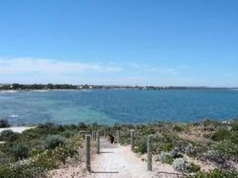 Penguin Point