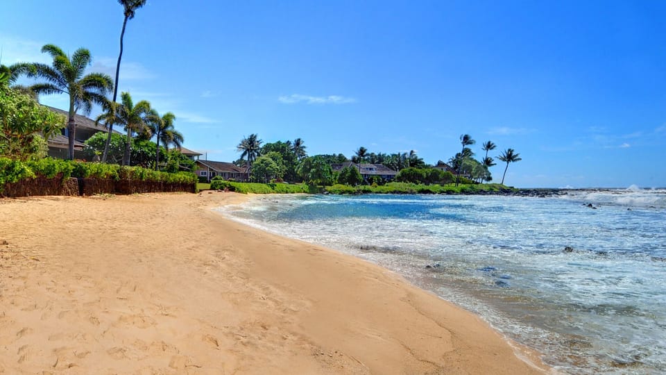 Baby Beach - Parrish Kauai