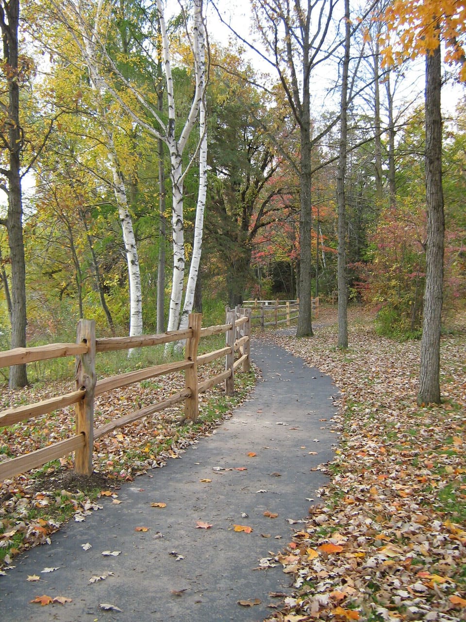 Trail at Yahr Park.