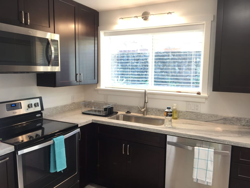 Gourmet kitchen