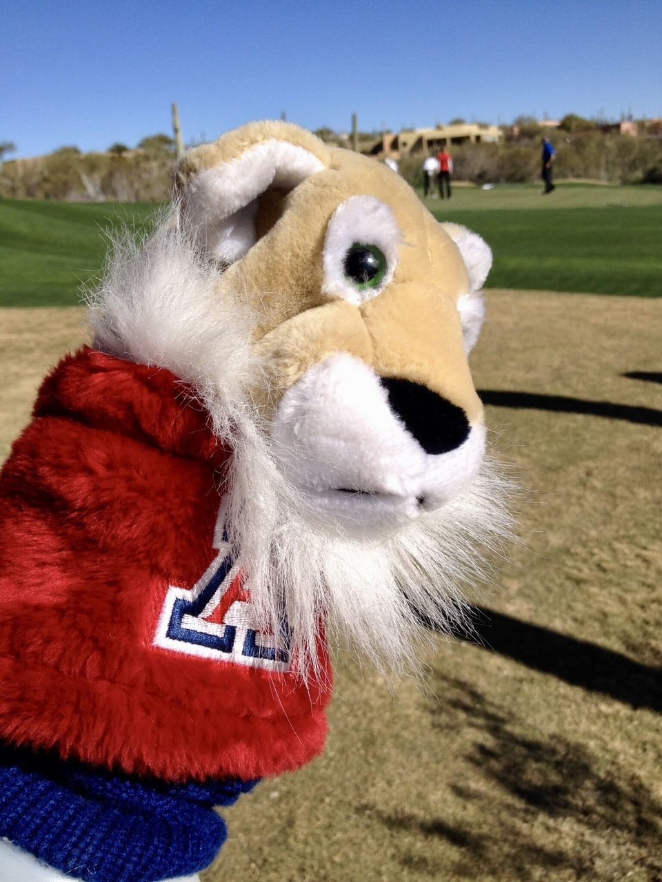 Hope to see you soon!