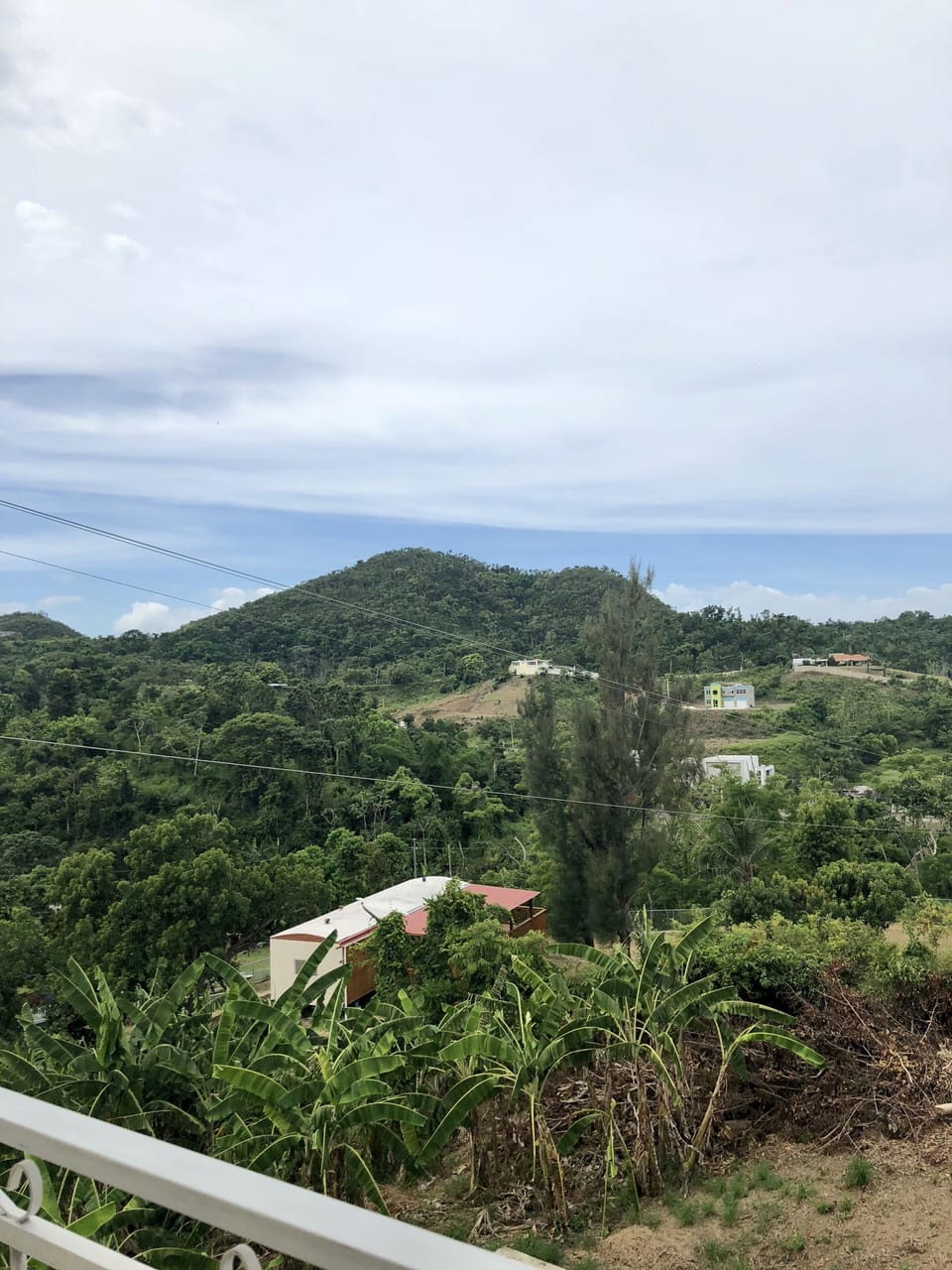 View from property