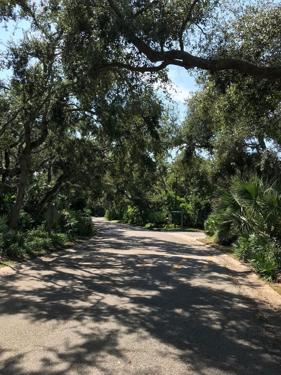 Walking Path to Beach in only 5 minutes!