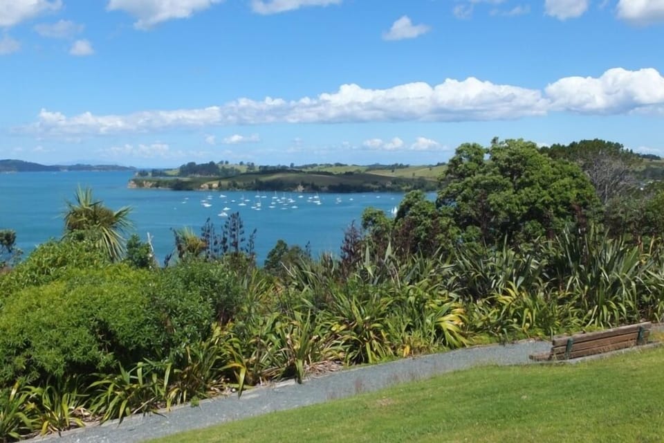 Algies Bay from Highfield Reserve
