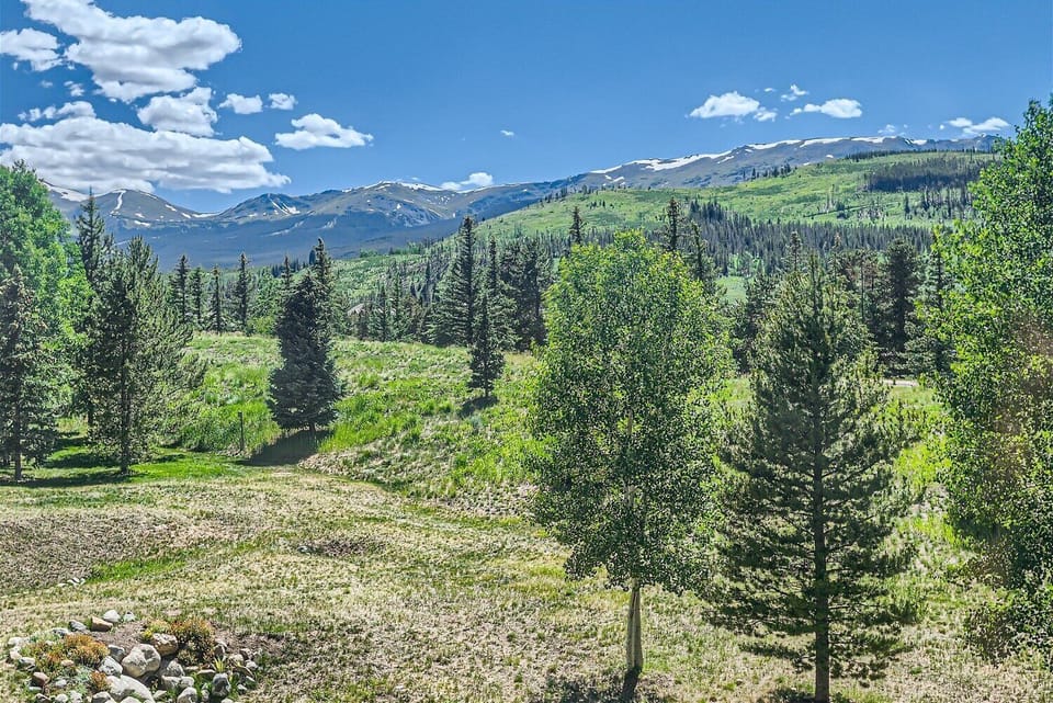 Mountain landscape with green trees and grass in the foreground, snow-capped peaks under a clear blue sky in the background.