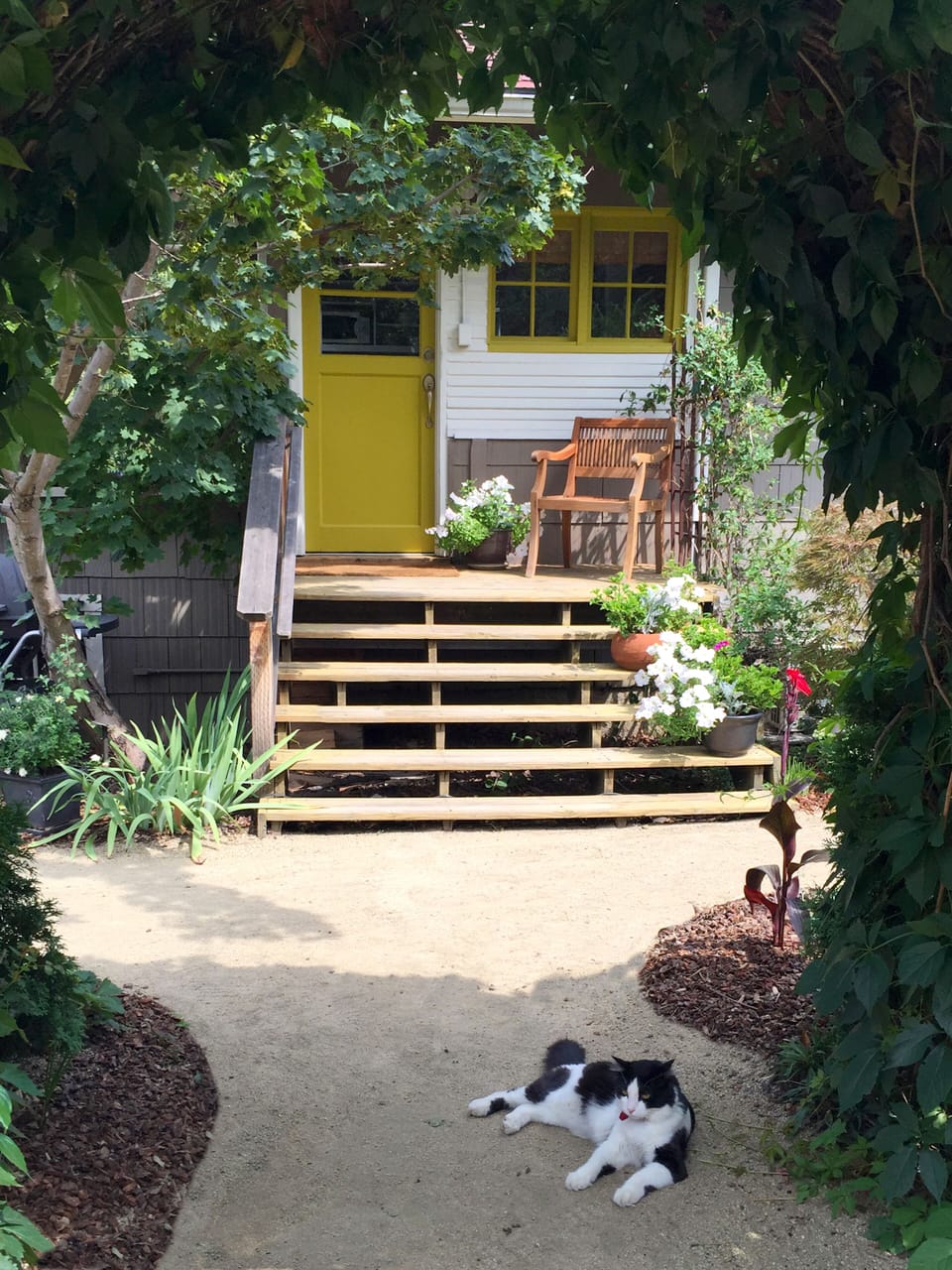 Just up the steps to the bungalow guest suite. Theo the cat may greet you.