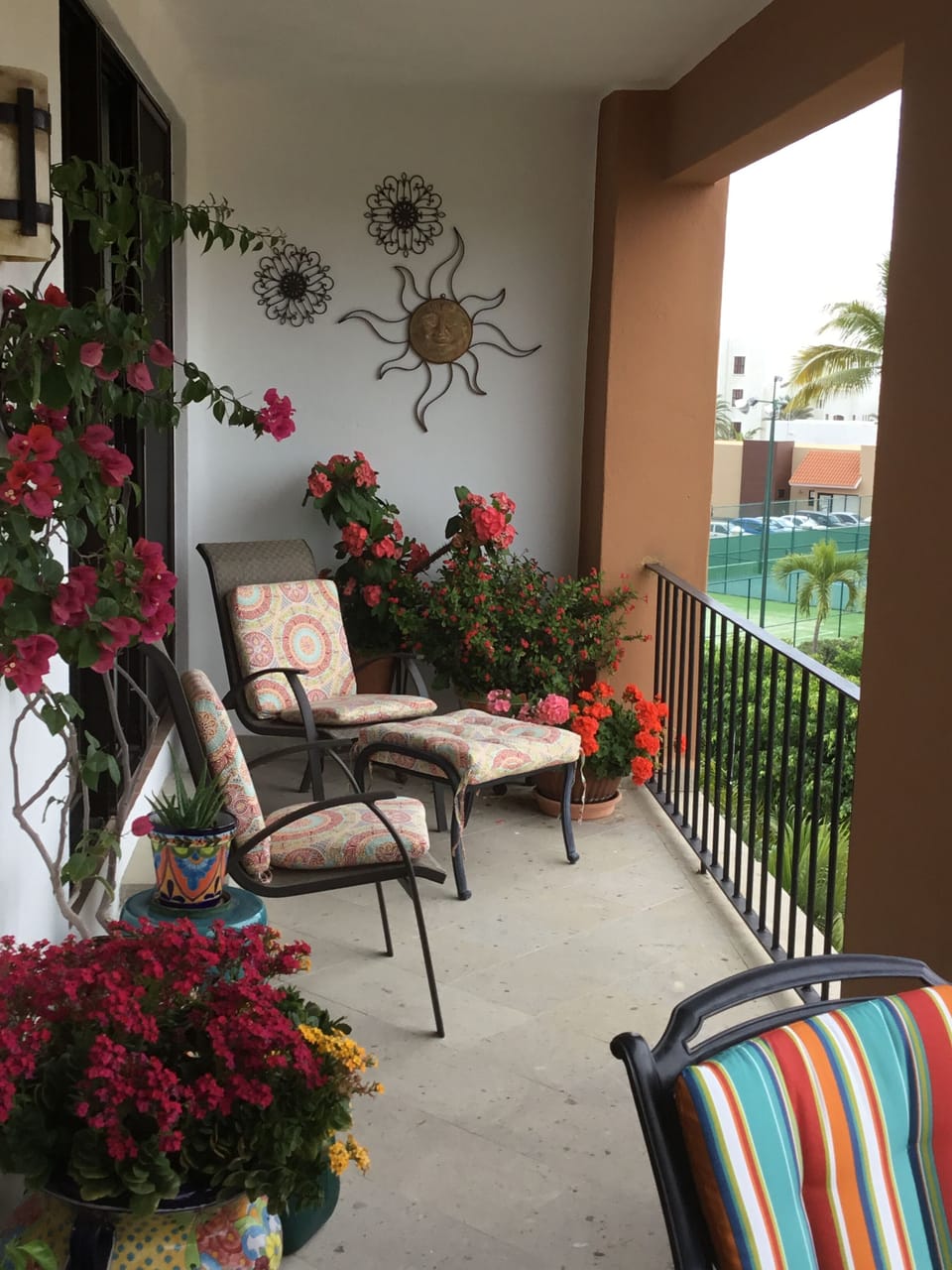 Herb pots  and patio flowers.  Your own little garden.