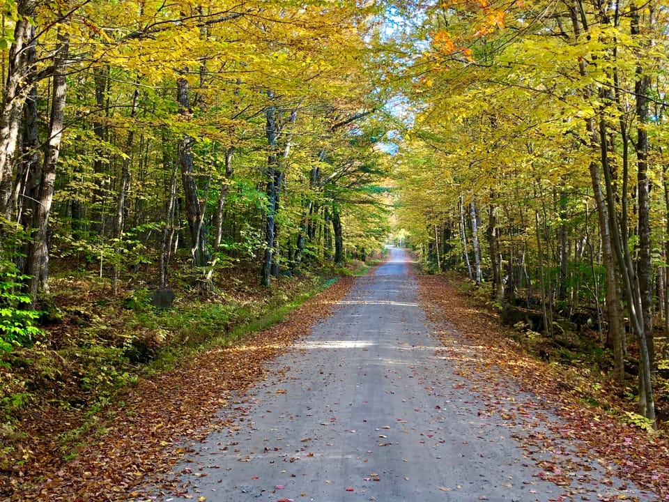 Fall along Doetown Road