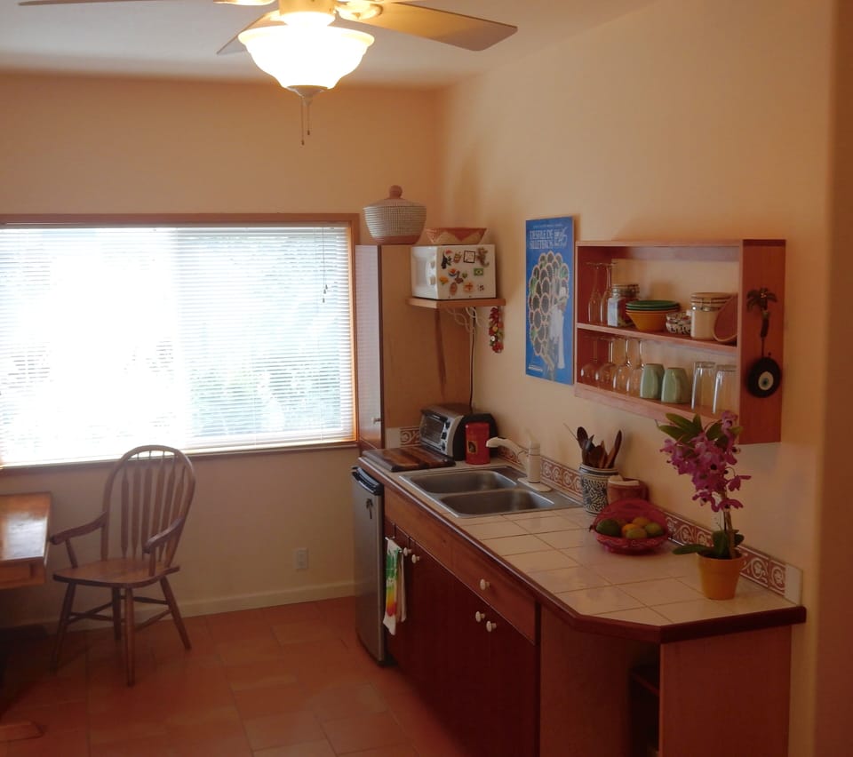Kitchenette  area of studio. hotplate, micro, coffee maker, small Refrig.