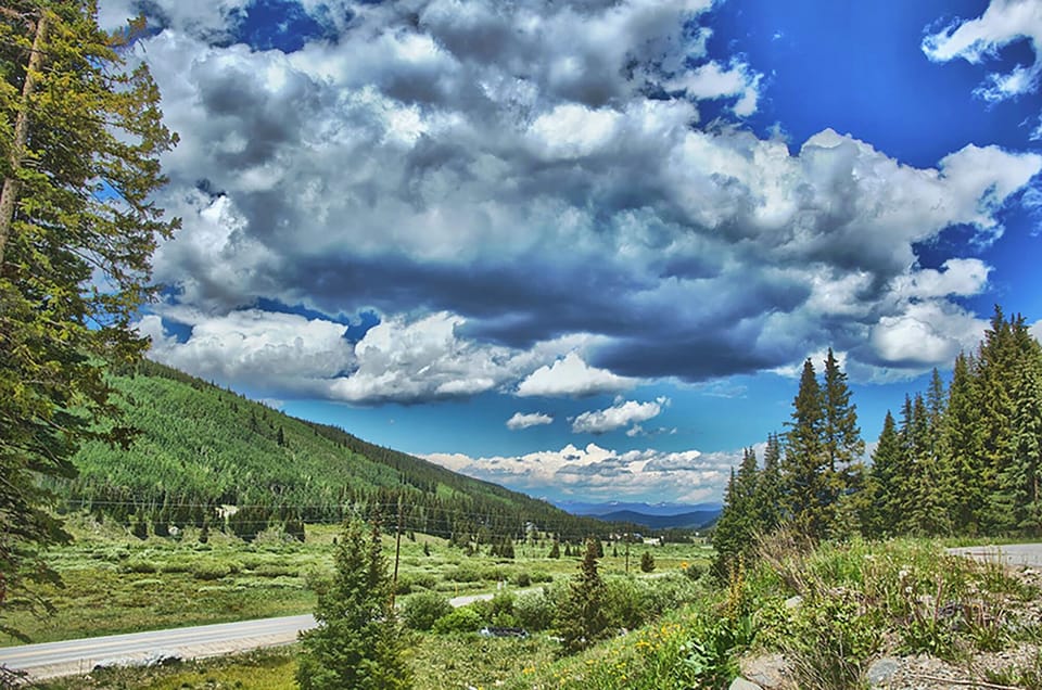 View from walkout basement patio
