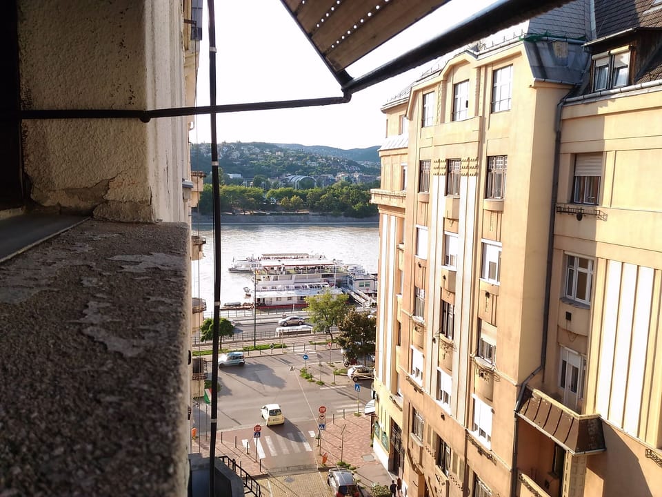 the window view