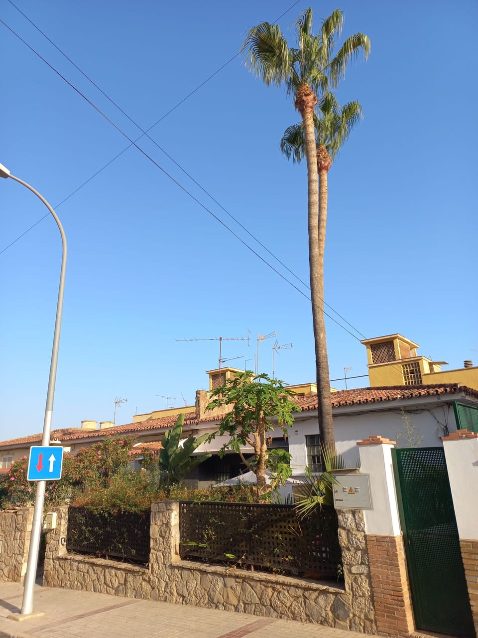 view from the street