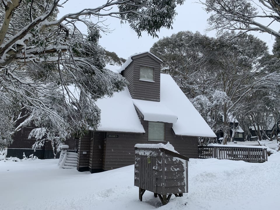 Winter 2020