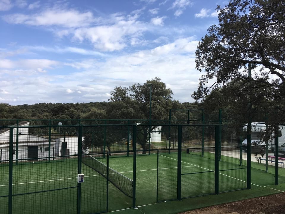 Sport court