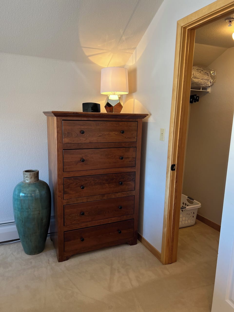 Master bedroom has a small walk-in closet.
