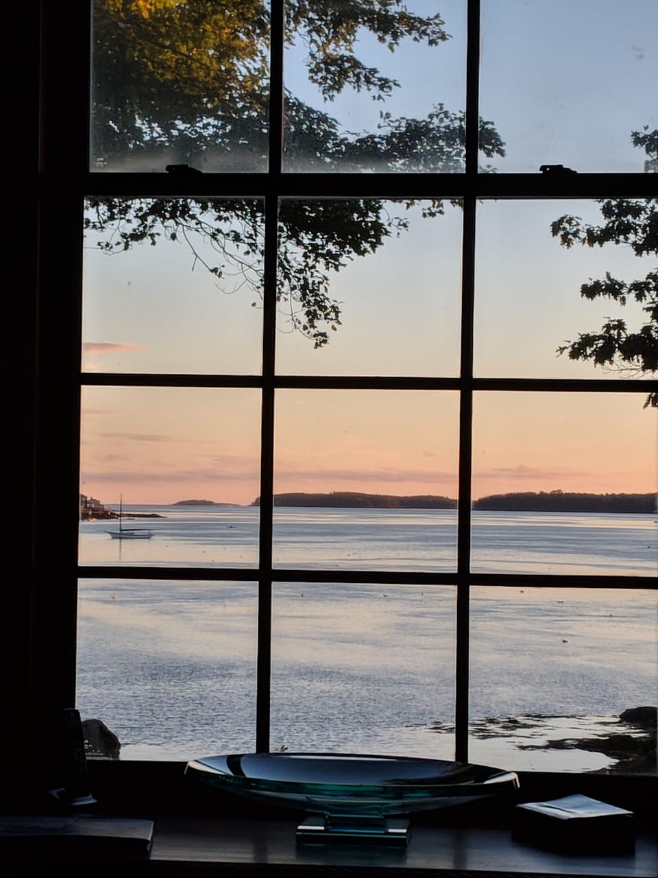View from Living Room