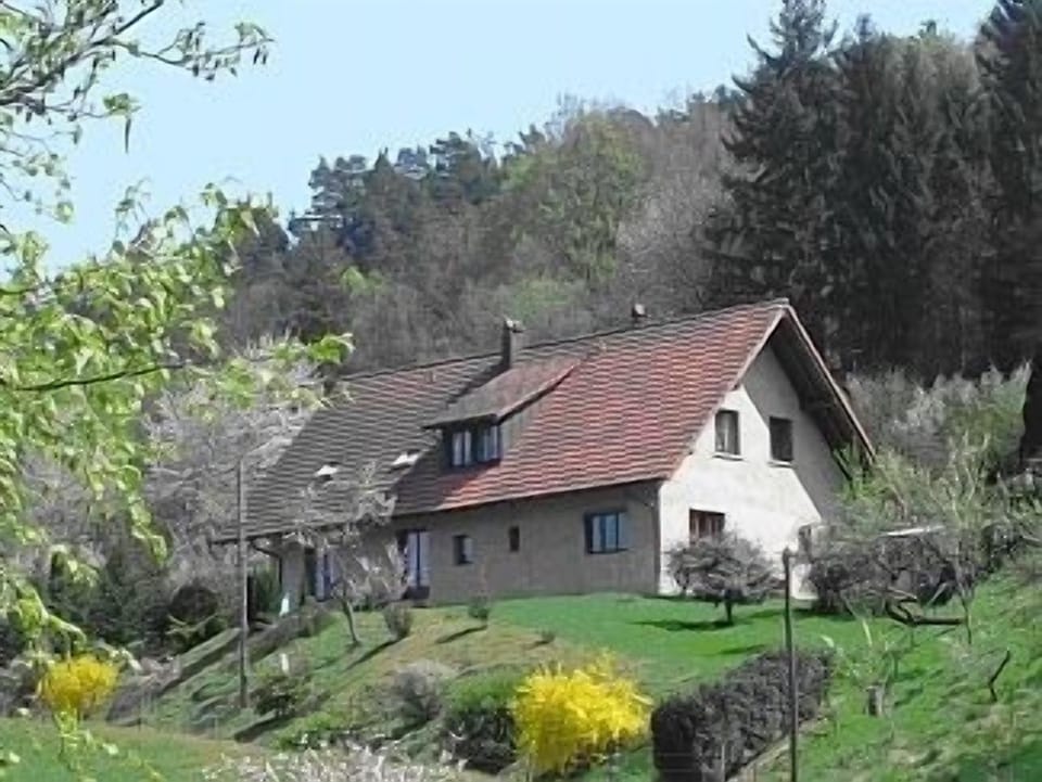 View of the house from the village