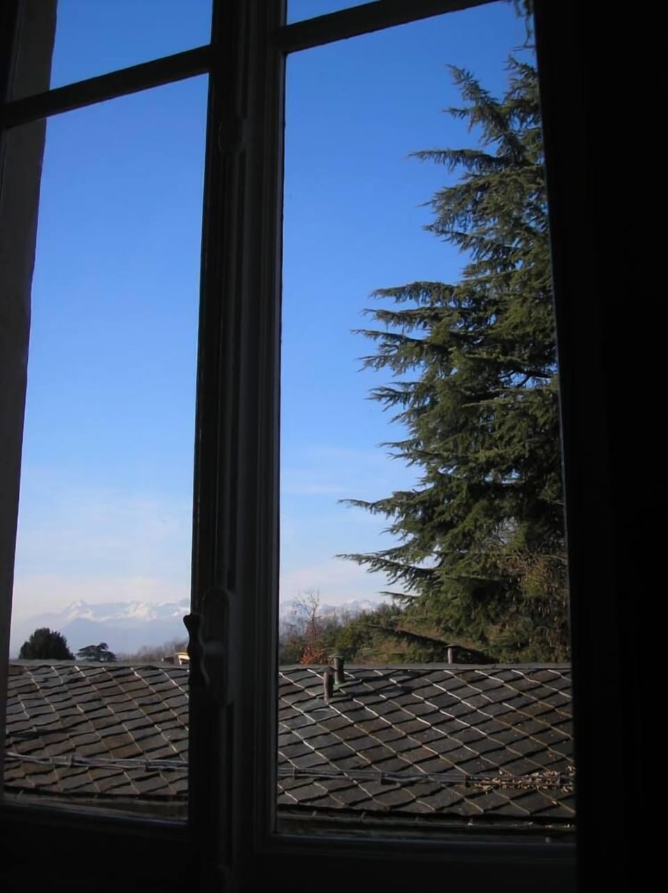 view from the dining room