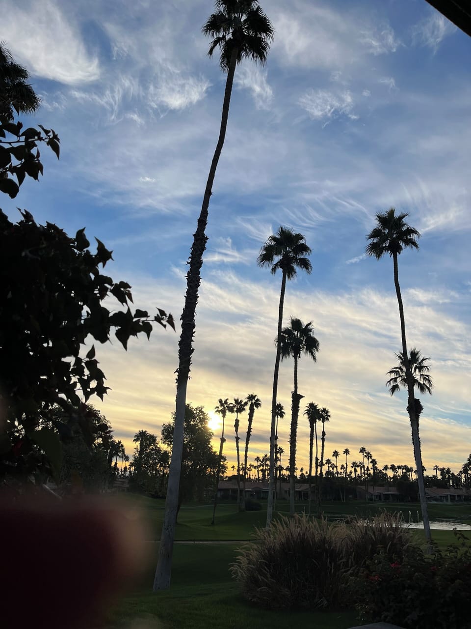 Miscellaneous