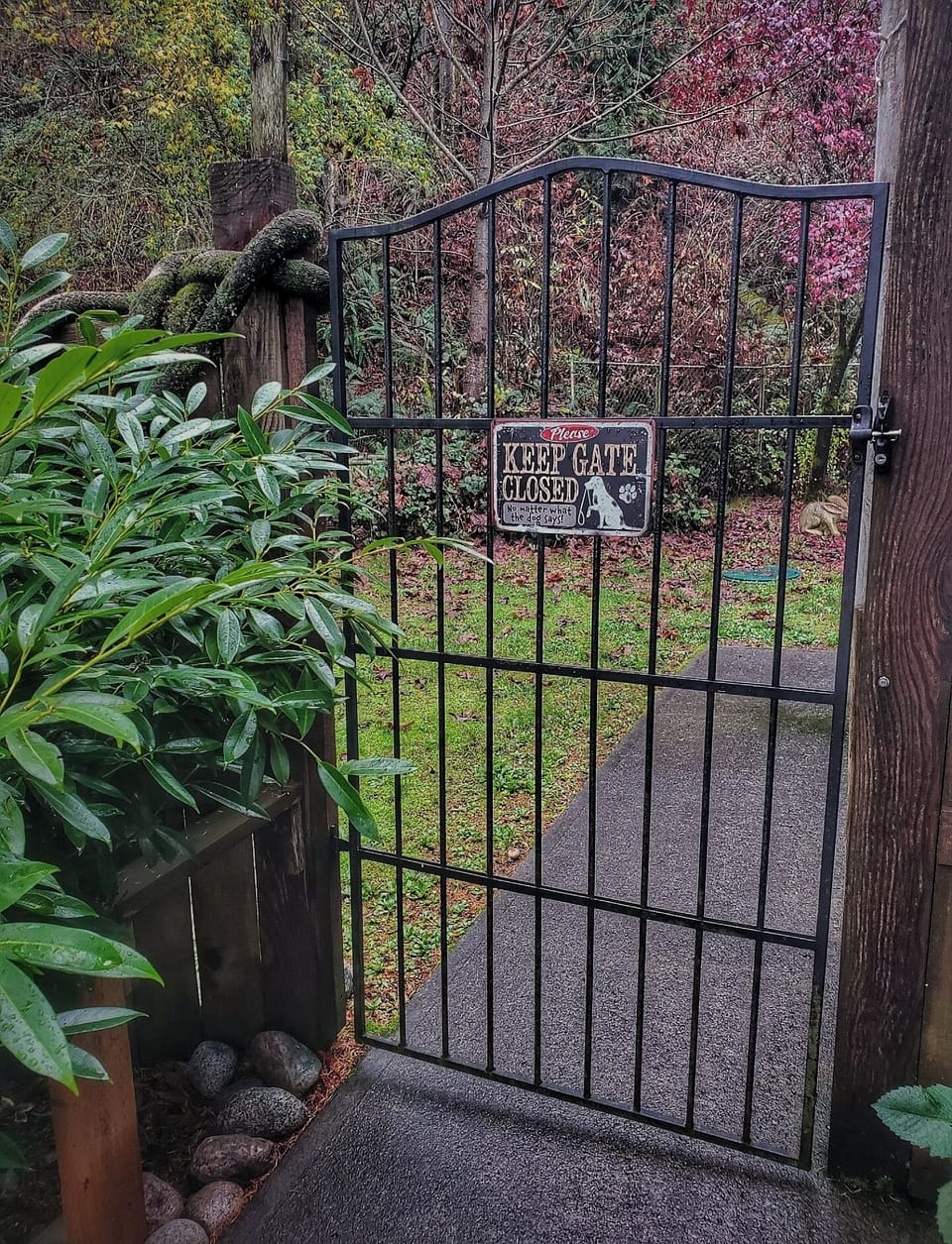 Entrance to the fully fenced yard on a rainy winter day
