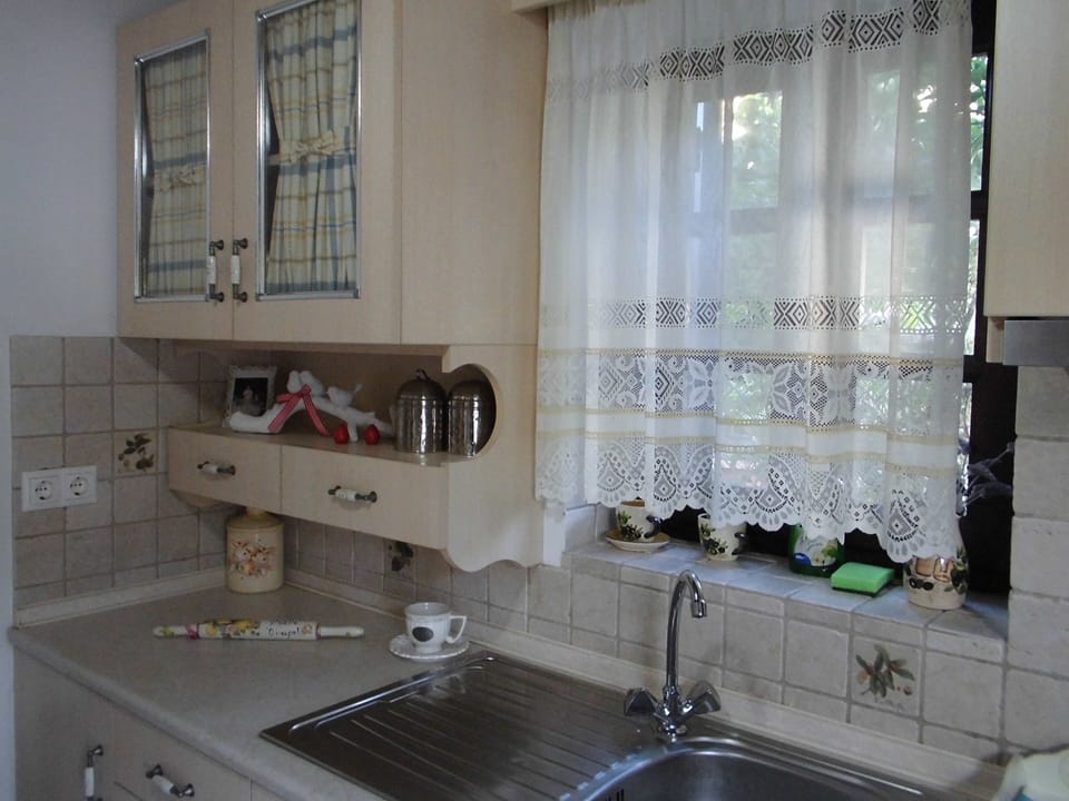 Modern  fully-equipped kitchen with full stove and oven 
