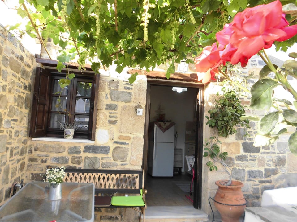 Dining room under the grapes vines