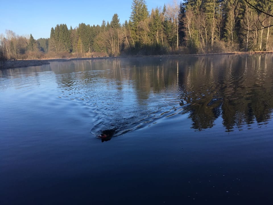 Lake