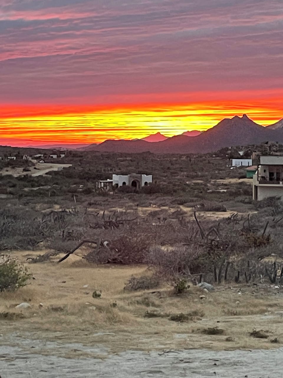 Zacatitos Sunset!!