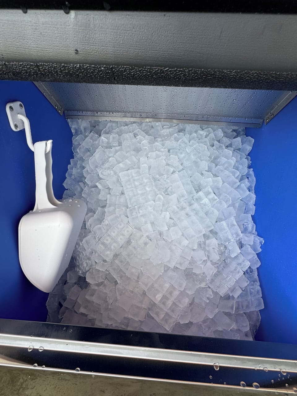 Miscellaneous