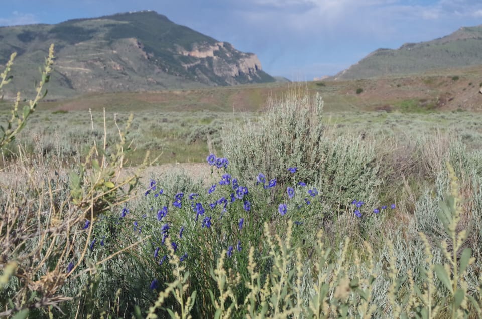 Beautiful views from near by nature trail. Easy walking distance from house