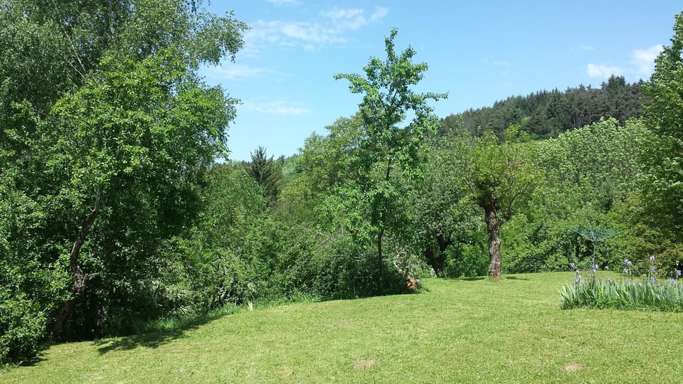 Back Garden