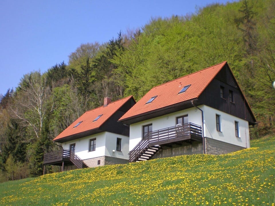 Plant, Flower, Property, Window, Building, Sky, Nature, Leaf, Tree, House